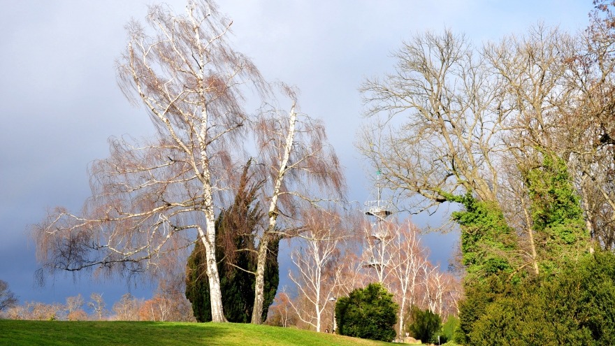 Blick auf den Killesbergturm